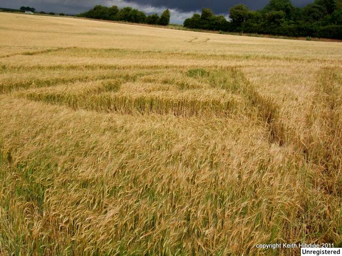 New Warren Farm, Hampshire crop circle, aerial photo 28