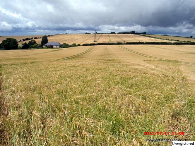 New Warren Farm, Hampshire crop circle, aerial photo 18