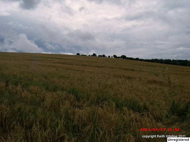 New Warren Farm, Hampshire crop circle, aerial photo 26