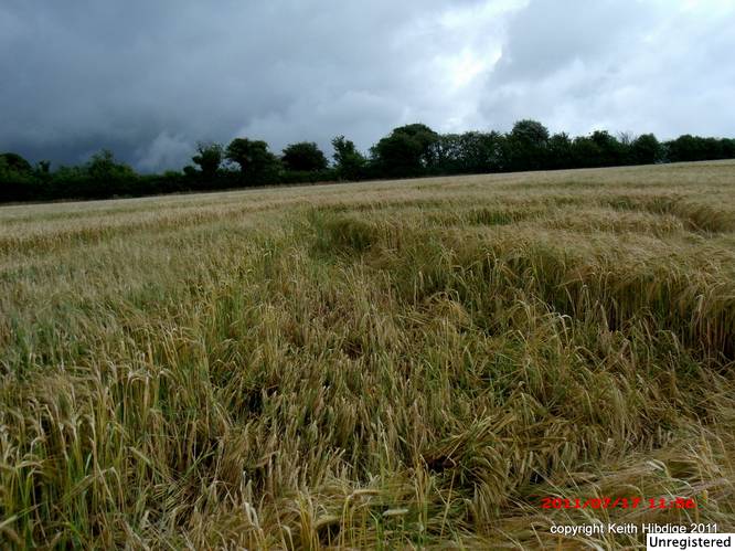 New Warren Farm, Hampshire crop circle, aerial photo 39