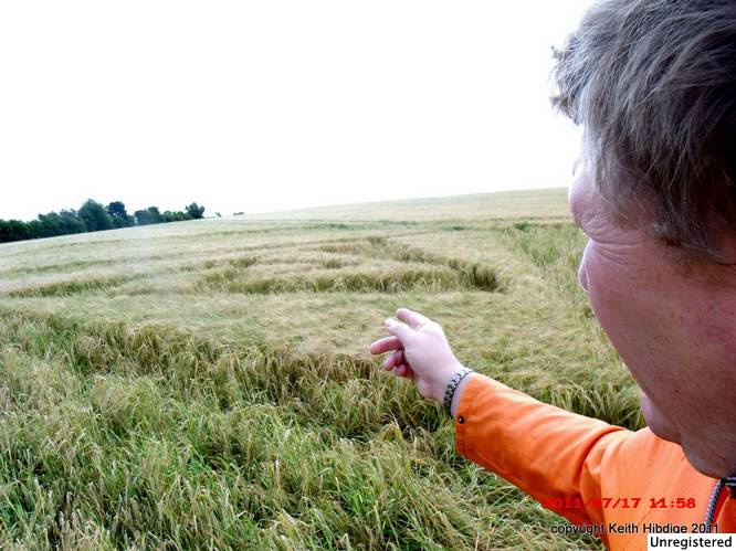 New Warren Farm, Hampshire crop circle, aerial photo 38