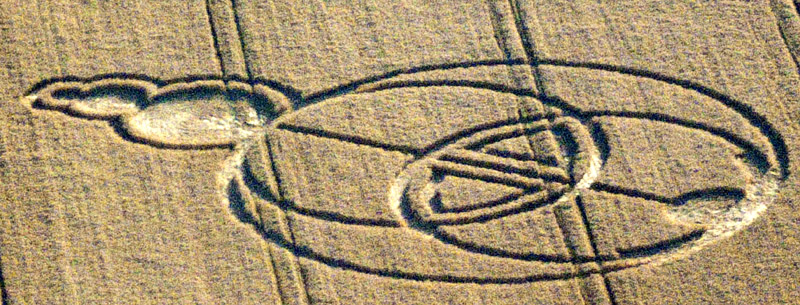 Wayland Smithy, Oxfordshire crop circle, aerial photo 3