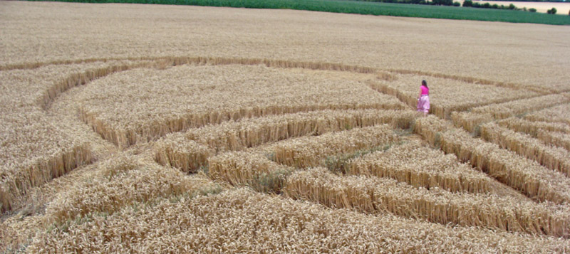 Wayland Smithy, Oxfordshire crop circle, aerial photo 11