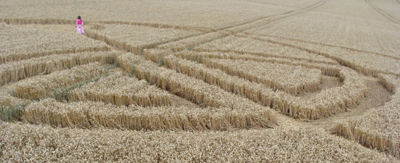 Wayland Smithy, Oxfordshire crop circle, aerial photo 12
