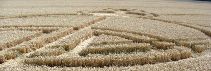 Wayland Smithy, Oxfordshire crop circle, aerial photo 15