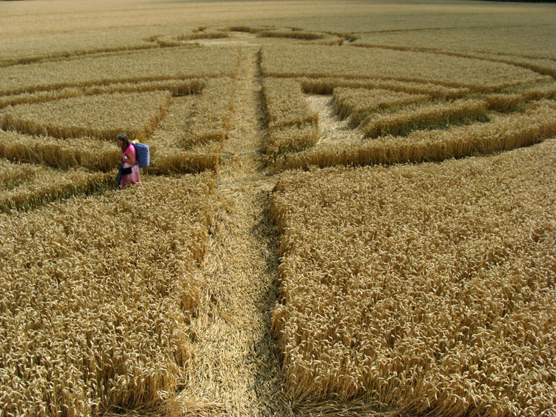 Wayland Smithy, Oxfordshire crop circle, aerial photo 16