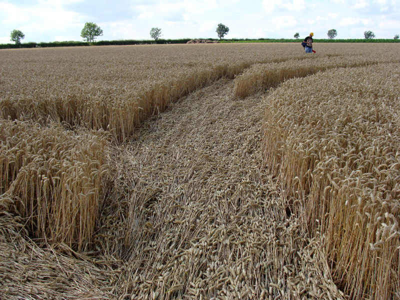 Wayland Smithy, Oxfordshire crop circle, aerial photo 17