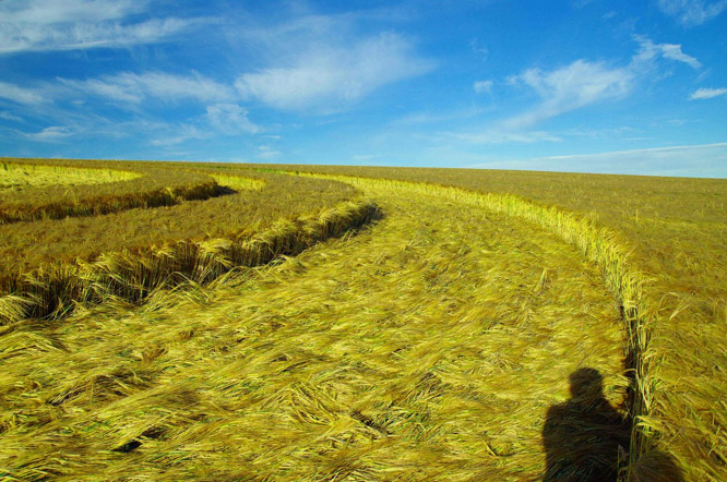 West Kennett, Wiltshire crop circle, aerial photo 16