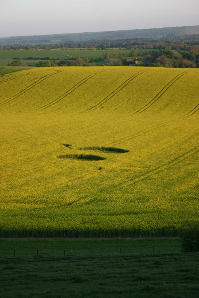 White Horse, Wiltshire crop circle, aerial photo 12