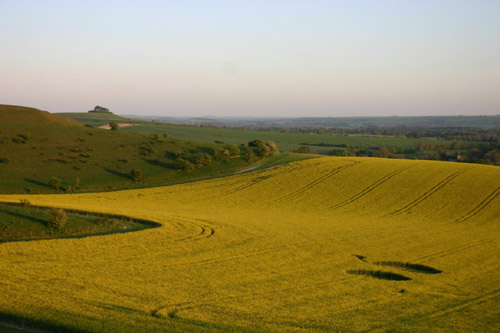 White Horse, Wiltshire crop circle, aerial photo 15