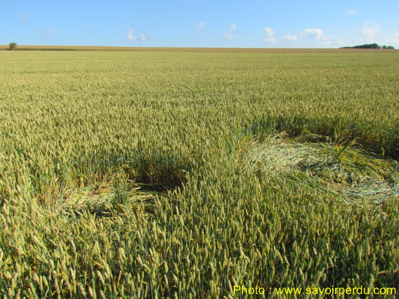 Windmill Hill, Wiltshire crop circle, aerial photo 54