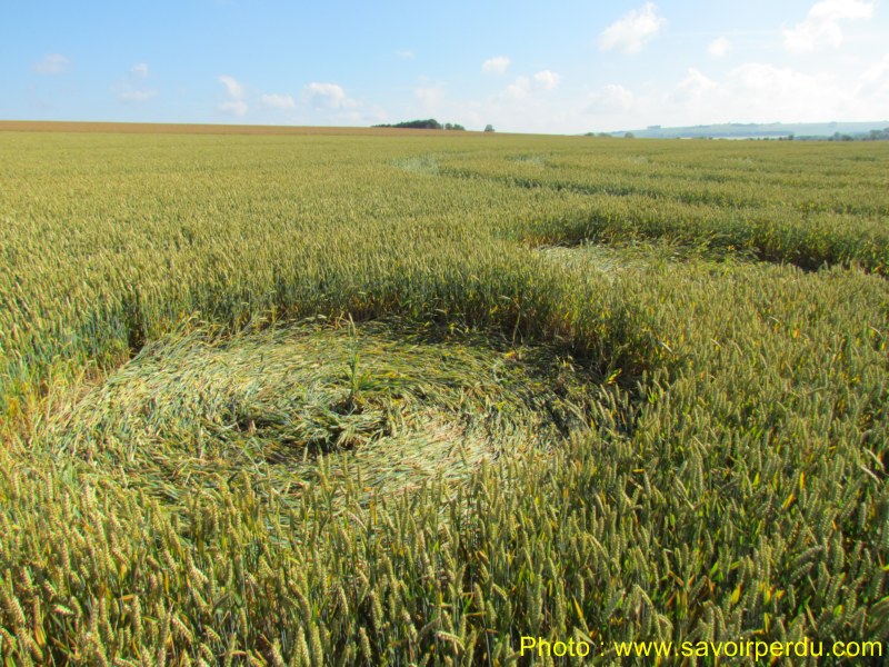 Windmill Hill, Wiltshire crop circle, aerial photo 53