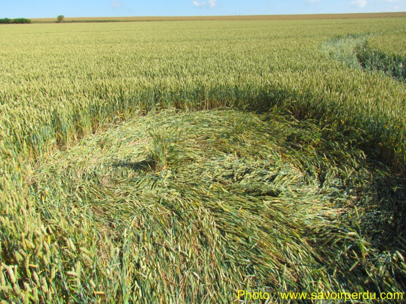 Windmill Hill, Wiltshire crop circle, aerial photo 52