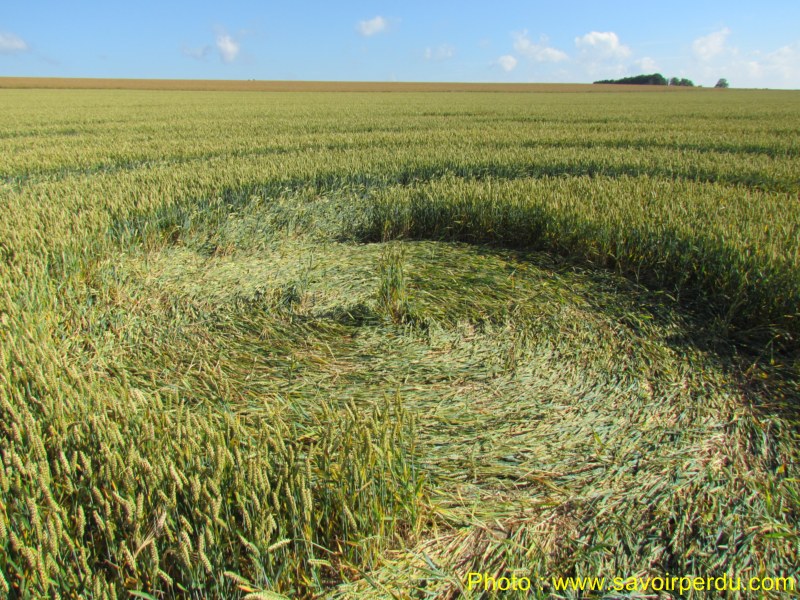 Windmill Hill, Wiltshire crop circle, aerial photo 51