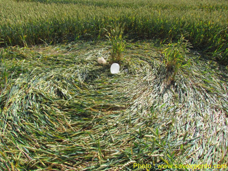 Windmill Hill, Wiltshire crop circle, aerial photo 48