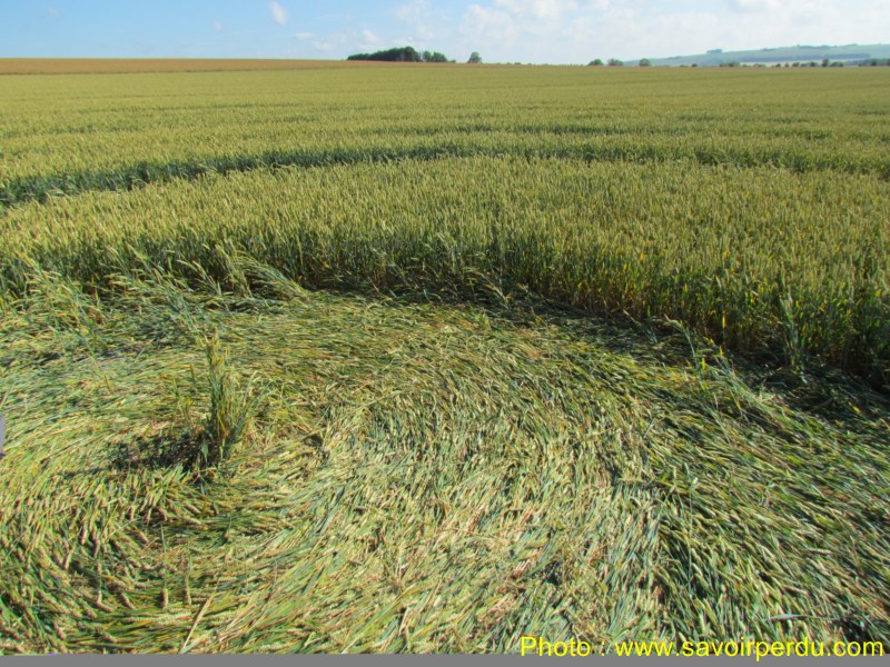 Windmill Hill, Wiltshire crop circle, aerial photo 63