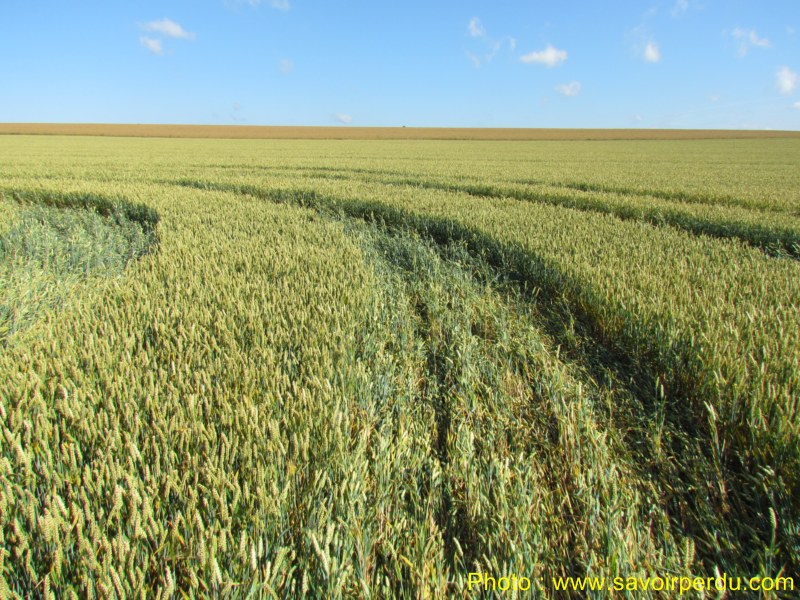 Windmill Hill, Wiltshire crop circle, aerial photo 61