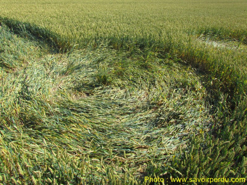 Windmill Hill, Wiltshire crop circle, aerial photo 60