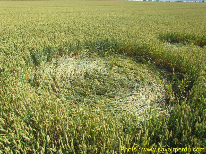 Windmill Hill, Wiltshire crop circle, aerial photo 59
