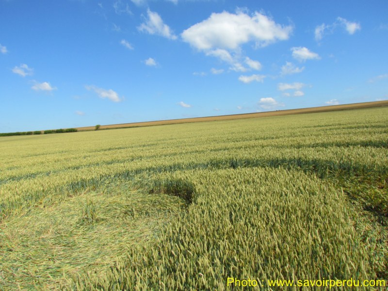 Windmill Hill, Wiltshire crop circle, aerial photo 56