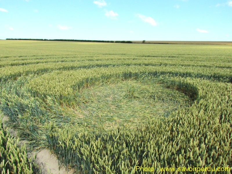 Windmill Hill, Wiltshire crop circle, aerial photo 64