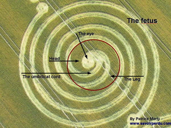 Windmill Hill, Wiltshire crop circle, aerial photo 33