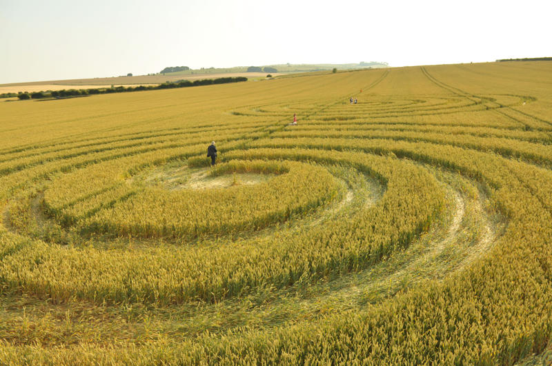 Windmill Hill, Wiltshire crop circle, aerial photo 39