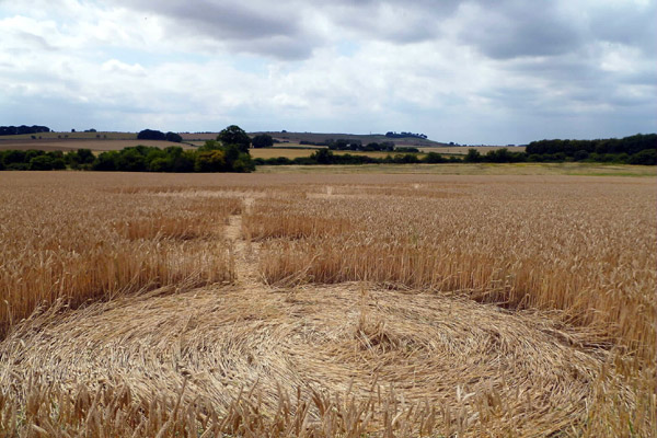 Crop Circle atWindmill Hill (2), Wiltshire crop circle, aerial photo 44