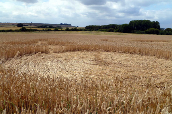 Crop Circle atWindmill Hill (2), Wiltshire crop circle, aerial photo 43