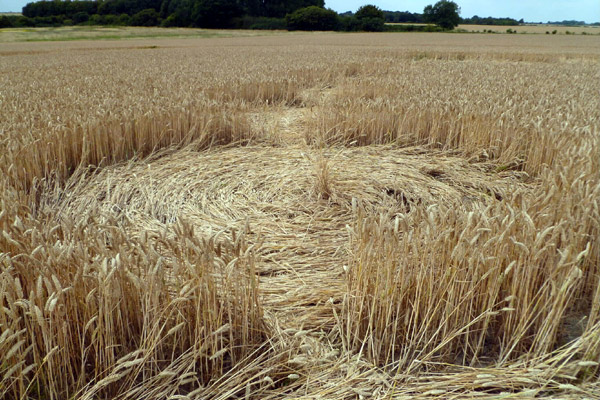 Crop Circle atWindmill Hill (2), Wiltshire crop circle, aerial photo 39
