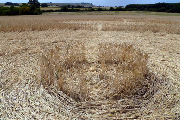 Crop Circle atWindmill Hill (2), Wiltshire crop circle, aerial photo 45