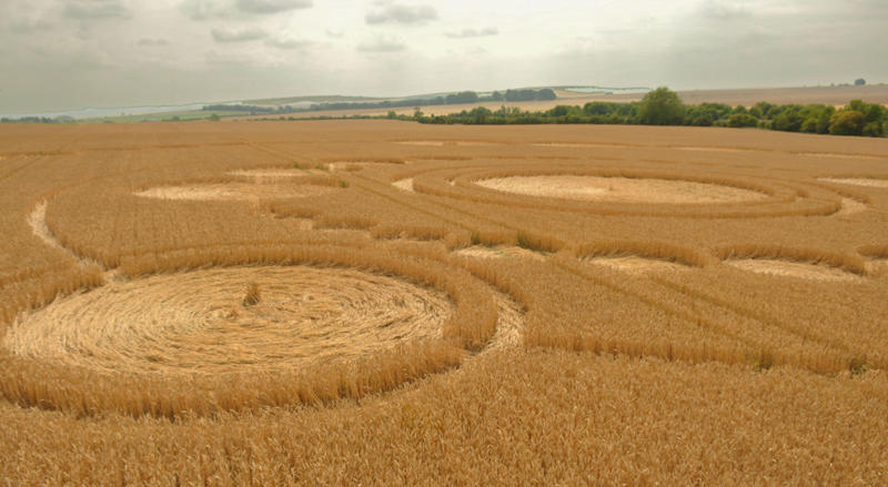Crop Circle atWindmill Hill (2), Wiltshire crop circle, aerial photo 31