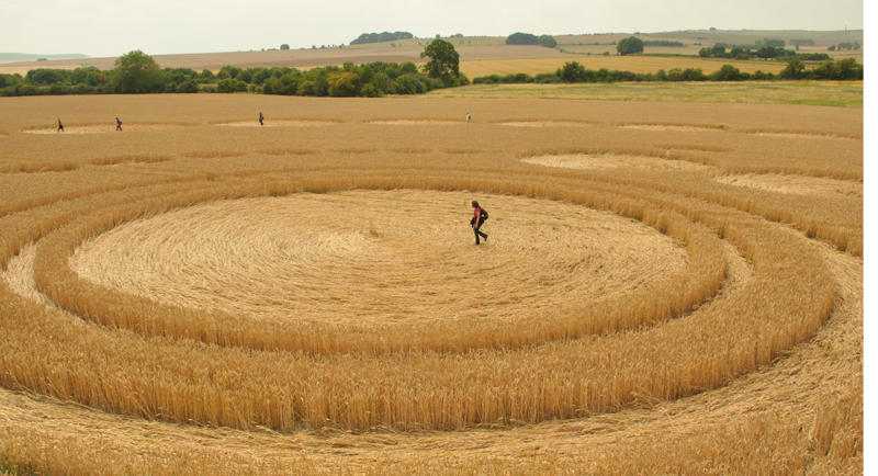 Crop Circle atWindmill Hill (2), Wiltshire crop circle, aerial photo 35