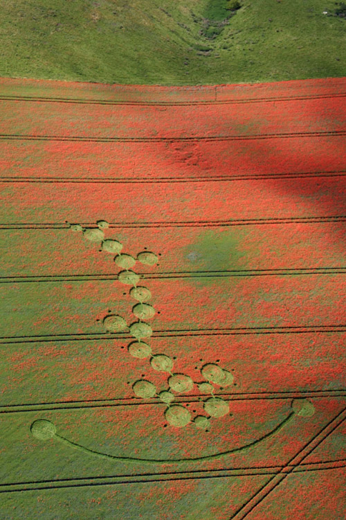 Four Mile Clump, Wiltshire crop circle, aerial photo 15