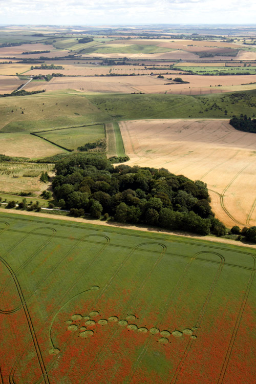 Four Mile Clump, Wiltshire crop circle, aerial photo 36