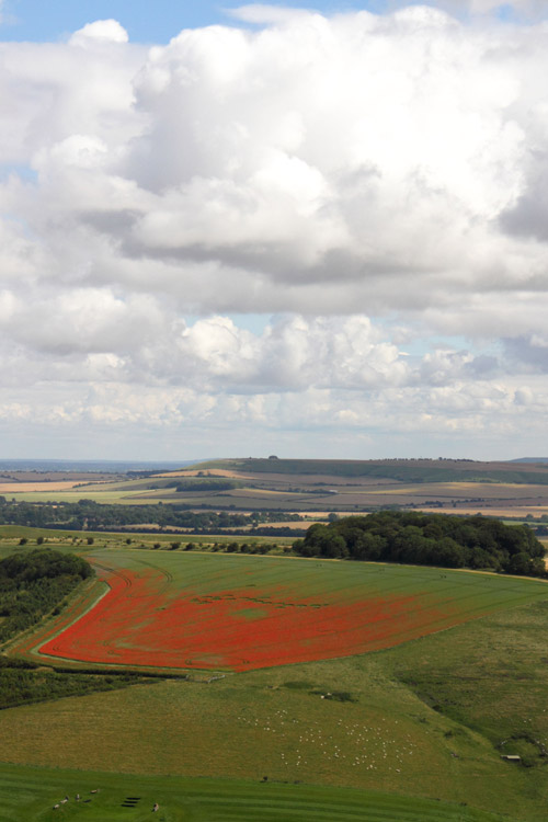 Four Mile Clump, Wiltshire crop circle, aerial photo 41