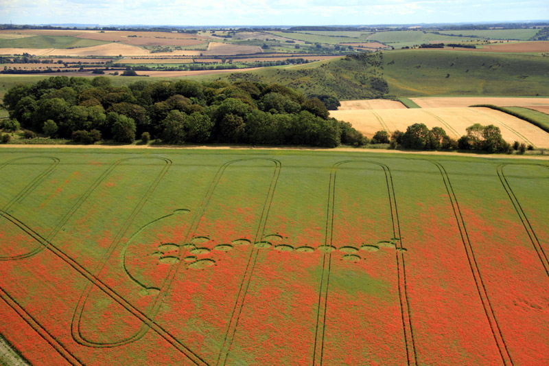 Four Mile Clump, Wiltshire crop circle, aerial photo 3