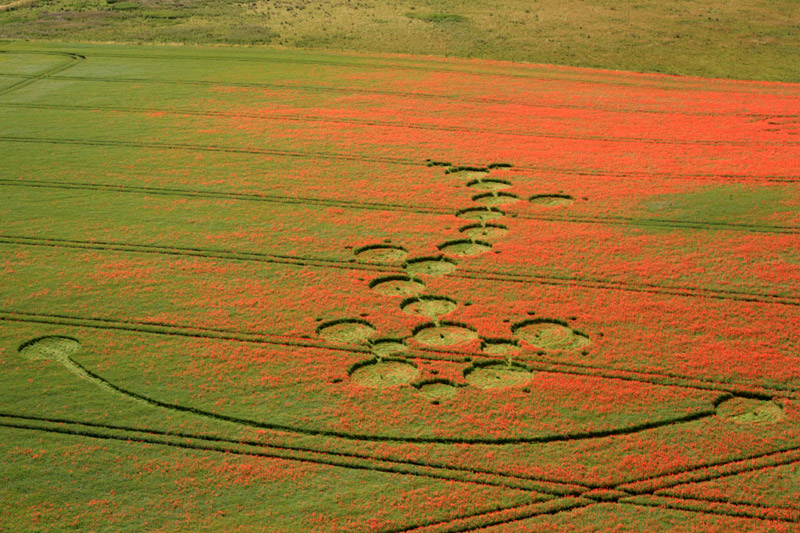 Four Mile Clump, Wiltshire crop circle, aerial photo 5