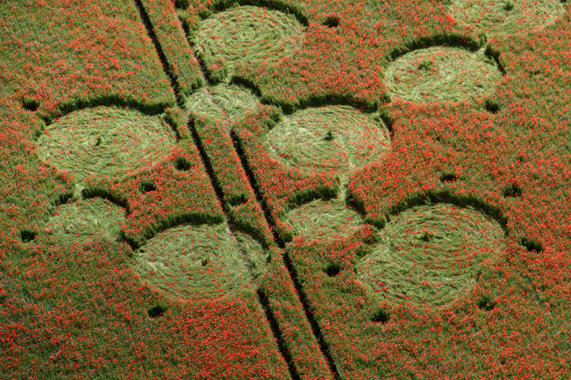 Four Mile Clump, Wiltshire crop circle, aerial photo 6
