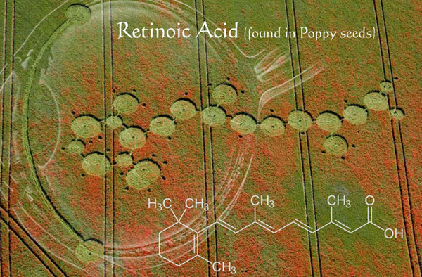 Four Mile Clump, Wiltshire crop circle, aerial photo 29