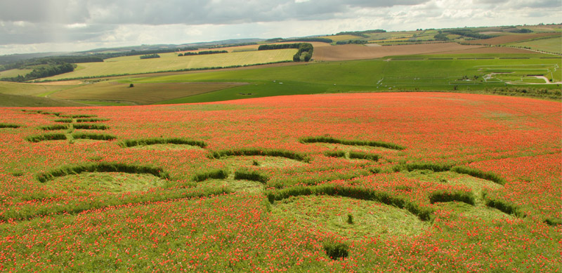 Four Mile Clump, Wiltshire crop circle, aerial photo 42