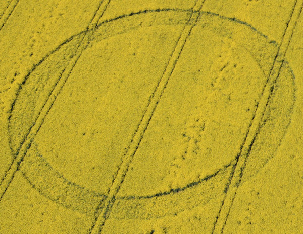 Ashmead Brake, Wiltshire crop circle, aerial photo 3