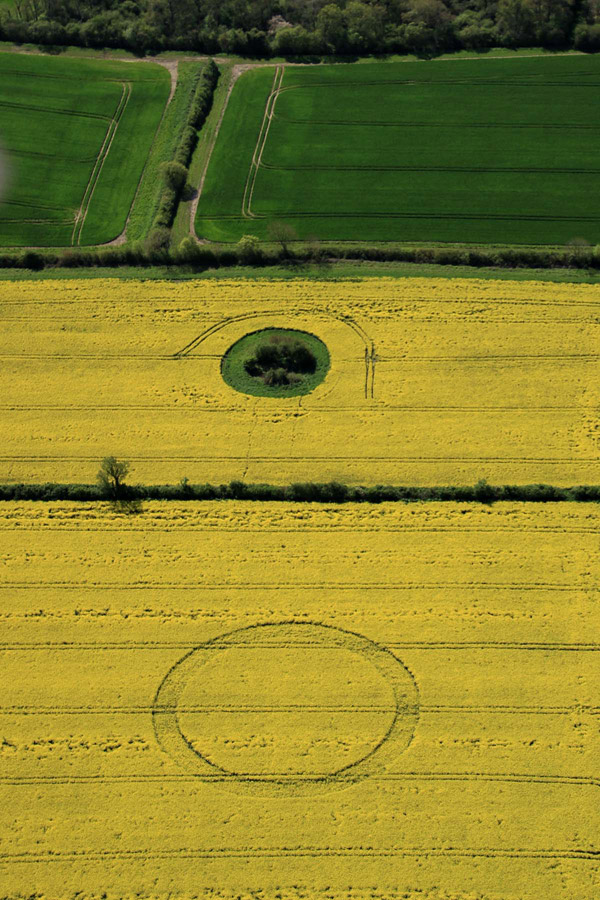 Ashmead Brake, Wiltshire crop circle, aerial photo 4