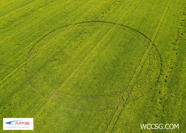 Ashmead Brake, Wiltshire crop circle, aerial photo 2