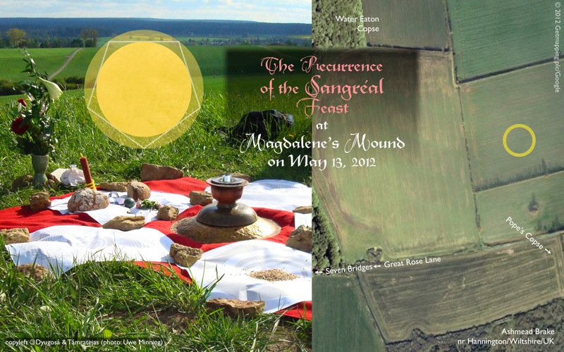 Ashmead Brake, Wiltshire crop circle, aerial photo 22