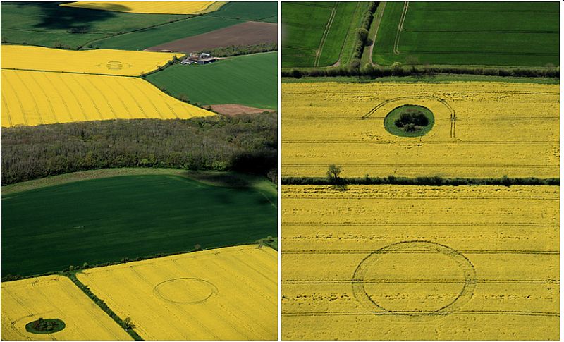Ashmead Brake, Wiltshire crop circle, aerial photo 6