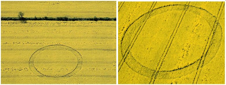 Ashmead Brake, Wiltshire crop circle, aerial photo 7