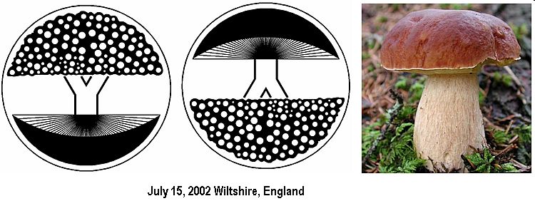 Ashmead Brake, Wiltshire crop circle, aerial photo 11
