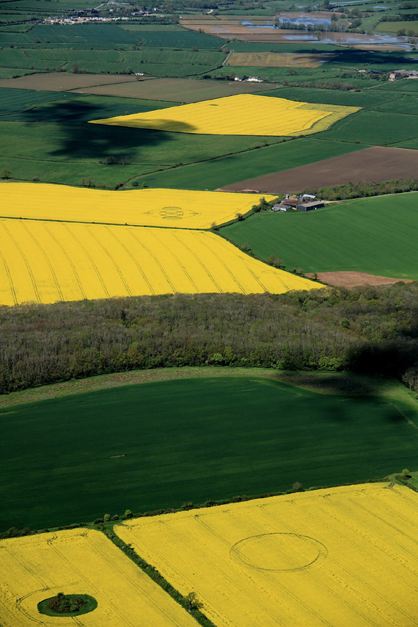 Ashmead Brake, Wiltshire crop circle, aerial photo 5