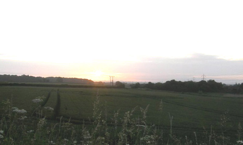 Berkley Lane, Somerset crop circle, aerial photo 42